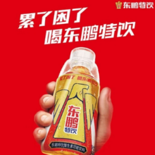 东鹏 特饮 维生素功能饮料250ml*24瓶
