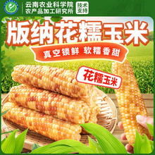 滇购 香糯小玉米 1000g