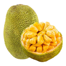 pLus会员:趣鲜语 海南菠萝蜜 整个装20-25斤大果脆甜黄肉老树 新鲜水果源头直发(拍4件)