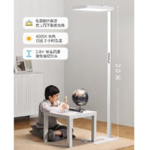 20点开始：Midea 美的 学习护眼台灯 全光谱落地式大路灯  天境光
