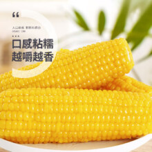 plus会员:珍谷诱惑  东北甜糯玉米200g/穗＊8支