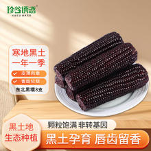 珍谷诱惑 谷诱惑新玉米 东北甜糯玉米200g/穗 北纬46° 真空黏玉米棒 代餐 黑糯8支