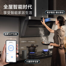 618预售、plus会员：米家小米抽油烟机净烟机P1 烟灶套装 MJ04CY+4.8KW（液化气）