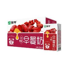 MENGNIU 蒙牛 早餐奶红枣味250ml*16盒