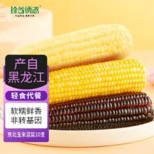 珍谷诱惑  23年新鲜糯玉米 200g/支  混装10支(4白3黑3黄)