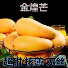 鲜宝道金煌芒 整箱 5斤 大果单果300+带箱