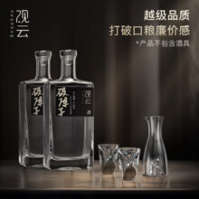 PLUS会员: 观云 破阵子 浓香型白酒 52度 500ml*2瓶
