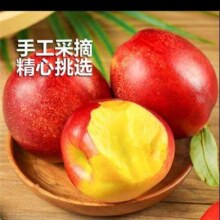 Plus会员:岸上人家（ANSHANGRENJIA）黄心油桃净果3斤装*3