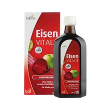 Huebner 郝柏娜 补气血口服液 500ml
