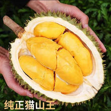 AA级 泰国猫山王榴莲 5斤装保4房