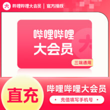 bilibili哔哩哔哩B站大会员12个月