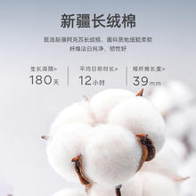 YOUNGOR 雅戈尔 D系雅戈尔衬衫男夏季短袖衬衫白衬衫商务休闲宽松衬衣
