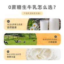 小奶云 全脂纯牛奶 200g*12盒整箱早餐奶全脂灭菌乳