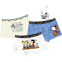 史努比（SNOOPY）史努比 男童95%棉内裤 4条装