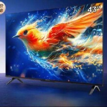 PLUS会员：TCL雷鸟 雀5 24款 43英寸电视 4K超高清 2+32GB 43F285C