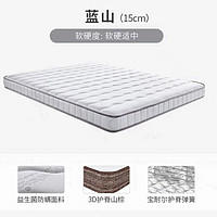SOMNOPRO 穗宝 山棕弹簧床垫偏硬棕榈薄垫席梦思经济床垫 轻睡蓝山 100*1900cm