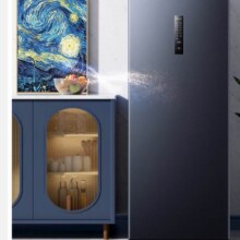 plus会员：海信（Hisense）159升立式冰柜家用 -40℃深冷风冷无霜除菌冷柜 母乳冷藏冷冻转换 抽屉式单门小冰箱BD-159WVUT