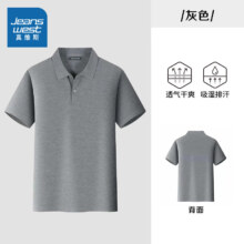 JEANSWEST 真维斯 男士短袖polo衫 任选2件