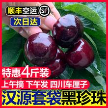 丰农人 汉源黑珍珠特大果 30~34mm净重4斤装