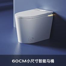 SSWW 浪鲸 018C 智能马桶无水压限制