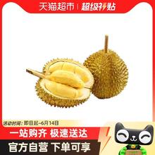 喵满分 金枕榴莲泰国3-7斤多规格可选软糯香甜
