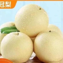 果迎鲜 河北皇冠梨 5斤装