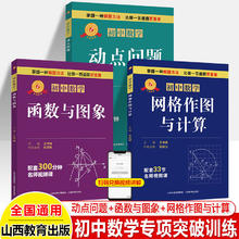 中数学解题思维方法大全七年级八九中考网格作图与计算动点问题函数与图像解题技巧思维逻辑训练书尖子生专项拓展培优拔尖特训