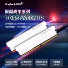 PLUS会员：金百达（KINGBANK）32GB(16GBX2)套装 DDR5 6400 台式机内存条海力士M-die颗粒 银爵 C32