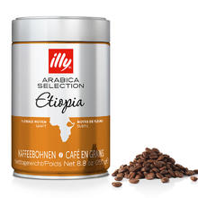 illy 意利 lly 意利 咖啡豆精选系列 中烘焙 埃塞俄比亚 咖啡豆 250g 临期