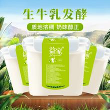 TERUN 天润 大桶益家老酸奶2kg*1桶