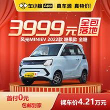 一汽-大众 东风风光MINIEV 2022款 糖果款