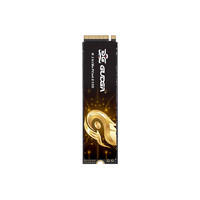 GUDGA 固德佳 GXF PRO M.2 PCIe4.0固态硬盘SSD1T 2T 4T PS5台式机笔记本