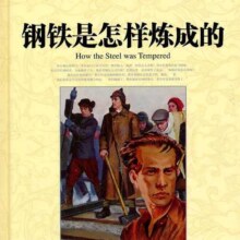 昆虫记/汤姆索亚/钢铁是怎样炼成的等 任选一本