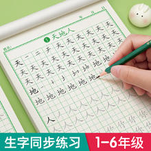 小学生教材同步字帖 +2个握笔器
