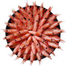 PLUS会员:鲜生说（XIANSHENGSHUO） 北极甜虾1.5kg/盒（90-130只/kg）
