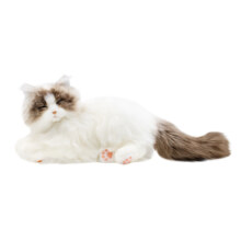 chongker布偶猫奶牛猫仿真猫咪玩偶公仔电动毛绒玩具会叫儿童礼物