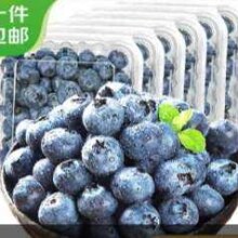 需首购，再降价，plus会员，京丰味蓝莓 新鲜时令国产蓝莓水果 125g/盒 精选中大果 果径约14mm以下4盒
