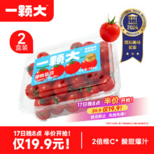 一颗大 樱桃小西红柿 486g便携盒*2件