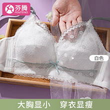 FENTENG 芬腾 内衣女大胸显小全罩杯无钢圈加宽侧比收副乳透气蕾丝文胸-J 白色 36/80BC