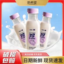 百亿补贴：NEW HOPE 新希望 芋泥厚乳荔浦瓶装风味牛奶 255ml*6瓶