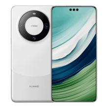 PLUS会员、京东百亿补贴：华为HUAWEI 旗舰手机 Mate 60 Pro 12GB+1TB 白沙银