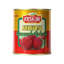 HUANLEJIA 欢乐家 杨梅罐头316g*6罐 糖水水果罐头 方便速食休闲零食