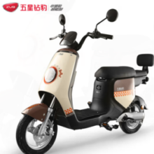 ZUB 五星钻豹 新国标电动自行车 TDT591Z