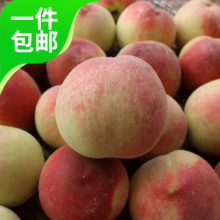 京鲜生 国产水蜜桃毛桃 净重5斤 /9件
