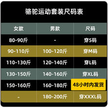 88VIP会员：CAMEL 骆驼 运动两件套男士2024夏季短袖短裤健身跑步宽松速干透气套装女