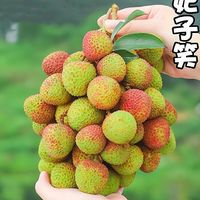 莫小仙 现摘现发 广东妃子笑荔枝 5斤装（单果18g+）