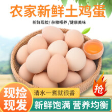 新鲜土鸡蛋 草鸡蛋 40枚装