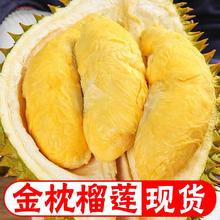 百亿补贴：泰国金枕榴莲当季热带新鲜水果包邮批发带壳发货3斤