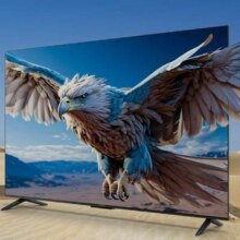 PLUS会员：雷鸟 FFALCON 鹏6 24款3+64GB 55英寸 120Hz动态加速 高色域 55S375C
