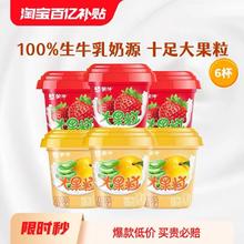 MENGNIU 蒙牛 大果粒芦荟黄桃草莓风味酸奶260g*6杯